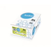 TUDOR DL 110x220 WINDOW FACE SECRECTIVE BUSINESS ENVELOPE 140030 BOX 500