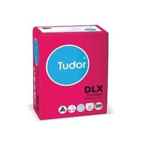 TUDOR DLX 120x235 PLAIN SECRETIVE PEEL N SEAL ENVELOPE 140092 BOX 500