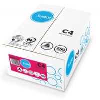 TUDOR C4 WHITE HEAVY 324x229 100GSM P N S ENV 140244 BOX 250 