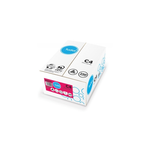 TUDOR C4 WHITE HEAVY 324x229 100GSM P N S ENV 140244 BOX 250 